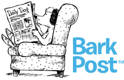 The Bark Post: The Best Site on the Internet