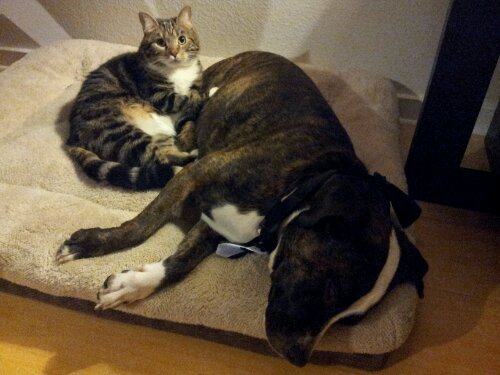 20131224_223404.jpg image