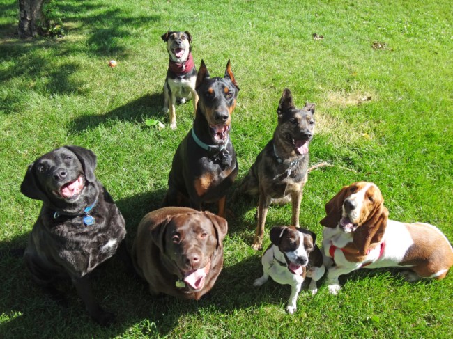 "Cheeeeeeeeeeeeeeeese..."