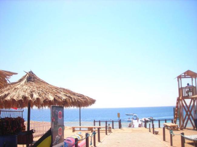 1380533_10201461572755280_833581338_n