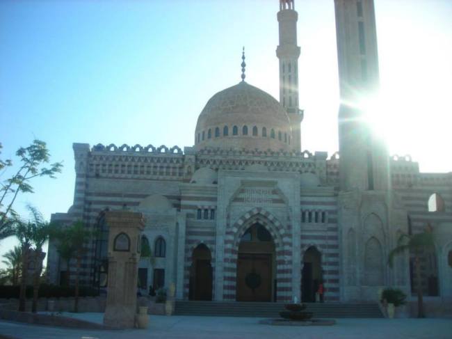 1390601_10201461576195366_503944588_n