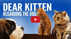 Screen Shot 2014-10-07 at 11.30.30 AM