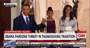 238825D700000578-2850776-image-2_1417032655766