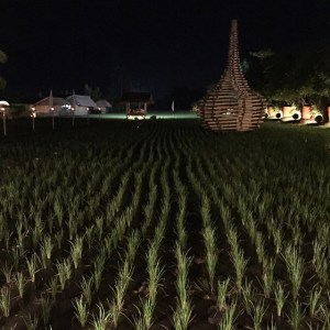 10306231_10152523505662364_5652237530800386595_n