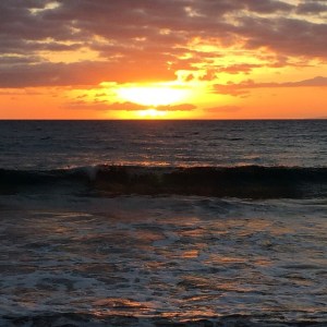 10636118_10153611031999989_1387534016490106042_n