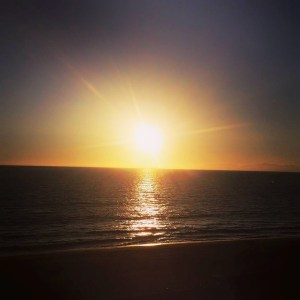 11753730_10155797834350162_6089431114048166894_n