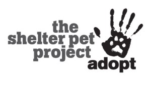shelterpet_logo