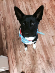 fonzieFullSizeRender