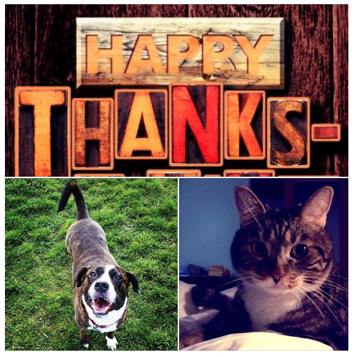 Screen Shot 2015-11-26 at 6.07.00 PM